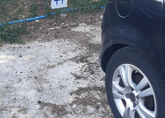 Lejlighed Zdenac *
