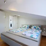 Zdenac Lejlighed *